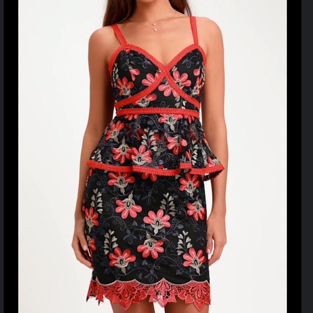 Lulu's Red and Black Floral embroidered Mini Dress